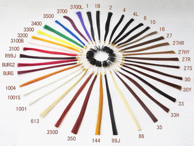 AMYWig Synthetic Hair Color Chart