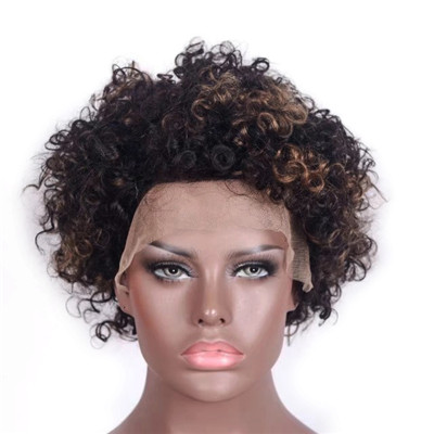 Afro Curl Brown with Blonde Highlights Full Lace Human Hair Wigs 