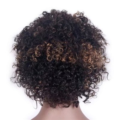 Afro Curl Brown with Blonde Highlights Full Lace Human Hair Wigs 
